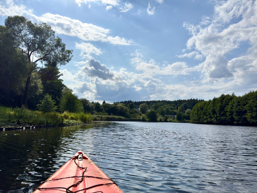 Zdjęcie dekoracyjne
