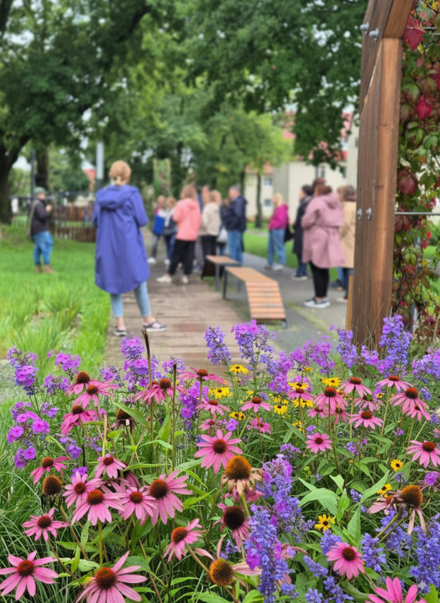 Kwitnące kolorowe kwiaty, w tle grupa ludzi