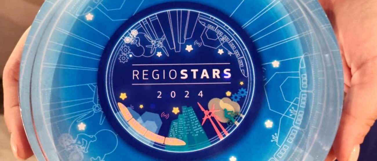 Nagroda Regiostars w dłoniach osoby