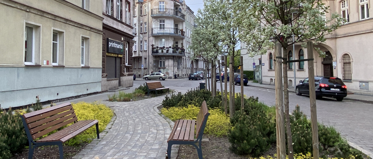 Wybrukowany deptak między grzędkami kwiatów z niskimi drzewami. Przy deptaku dwie drewniane ławki. W tle zabytkowe kamienice.