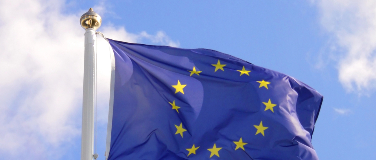 grafika przedstawia flagę Unii Europejskiej