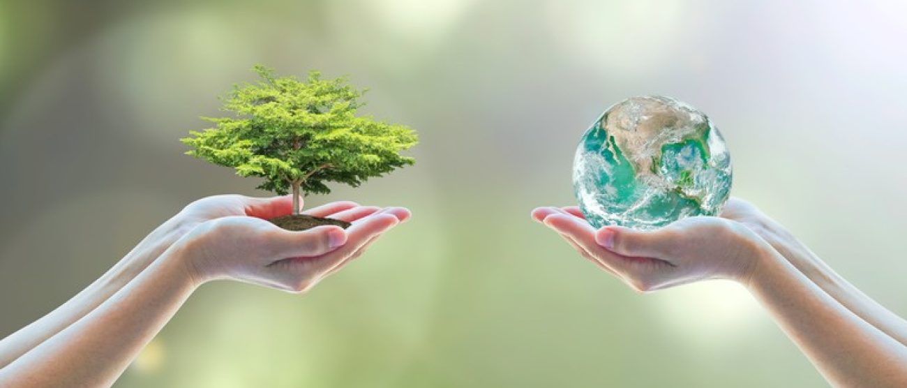 materiały promocyjne