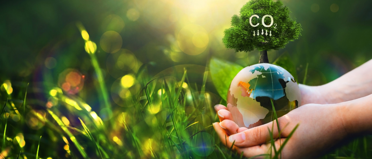 materiały graficzne