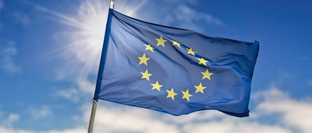 zdjęcie dekoracyjne