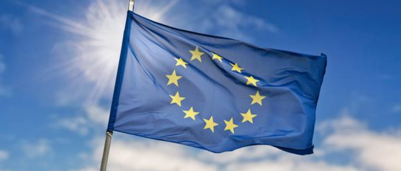 zdjęcie dekoracyjne