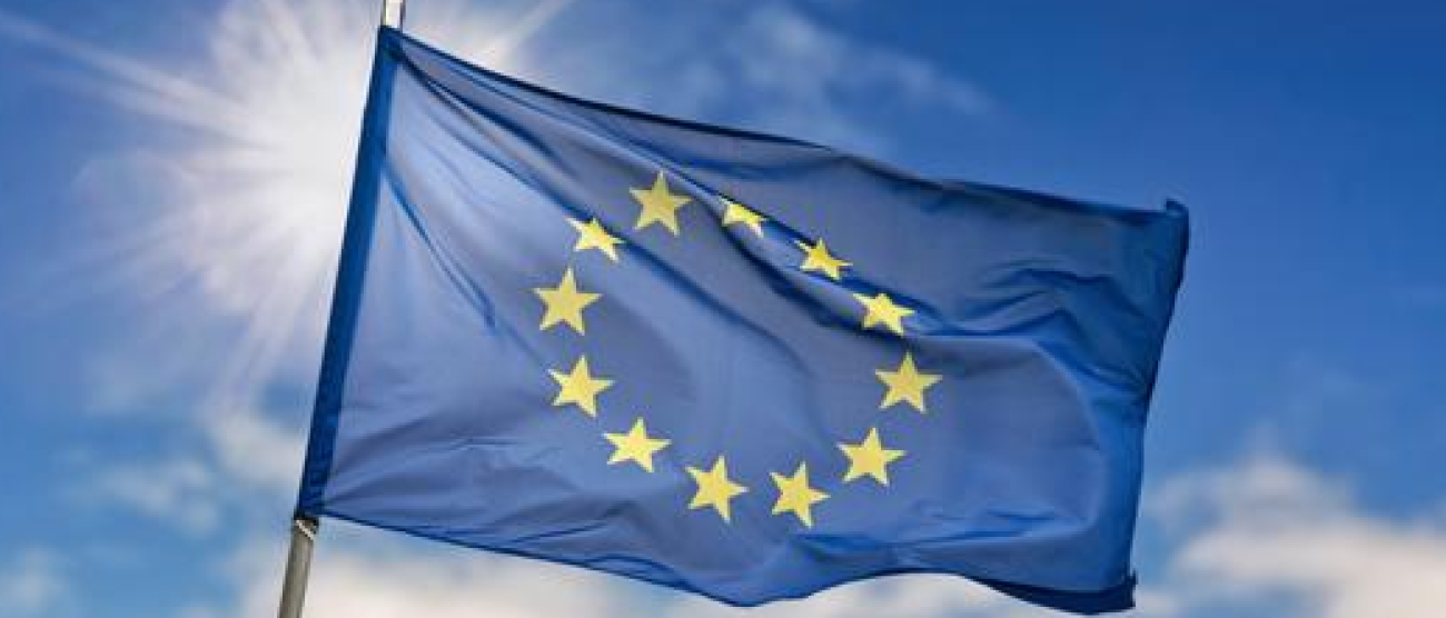 zdjęcie dekoracyjne